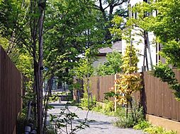 十二荘小路【建築条件付土地】