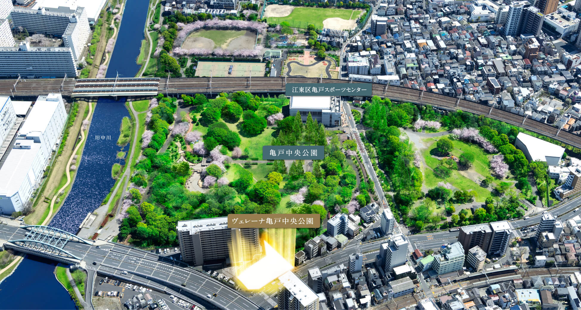 ヴェレーナ亀戸中央公園 コンセプト