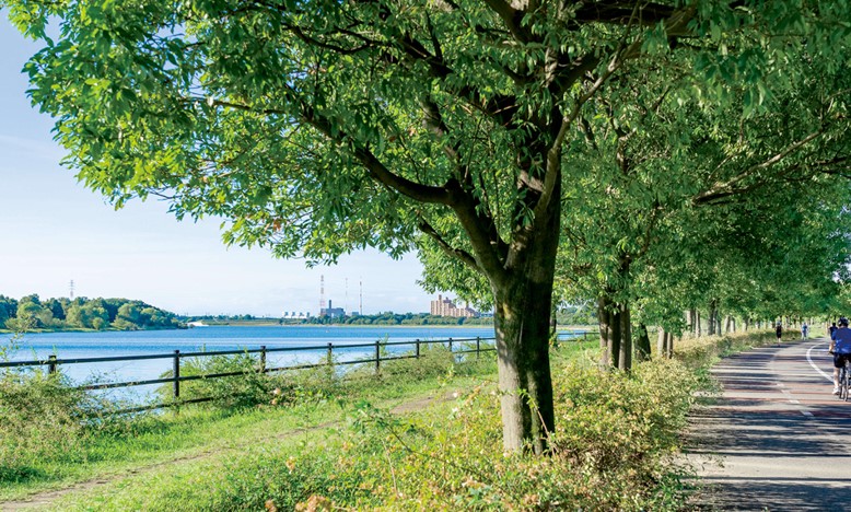 プレシス朝霞台ソルティエ コンセプト