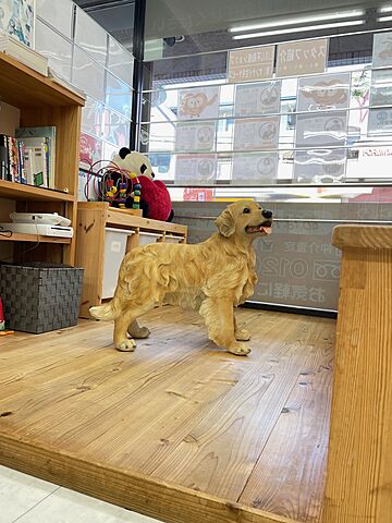 キッズスペース