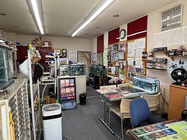 店内の様子