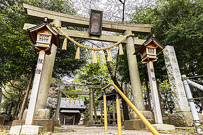 仙波氷川神社 約530m（徒歩7分）