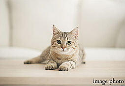 レーベン水戸ONE STATE TOWER 設備