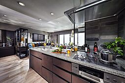 レーベン牛久VANTERRACE 専有部