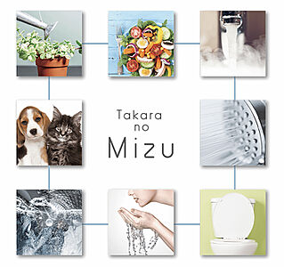 たからの水