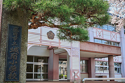 盛岡市立城南小学校(通学指定校) 約550m