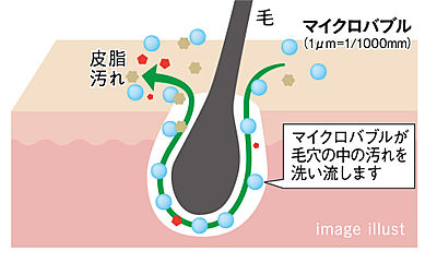たからのミラバスビジョン