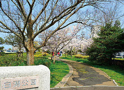 白潟公園 約790m(徒歩10分)