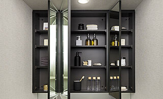 レーベン松山市駅ALBIO TOWER 三面鏡裏収納