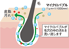 たからのミラバス