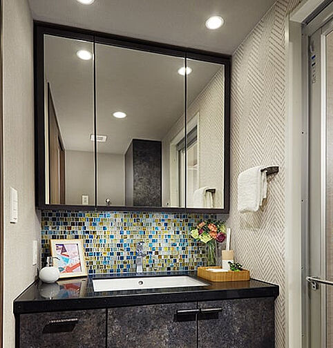 レーベン南流山 Torte 専有部