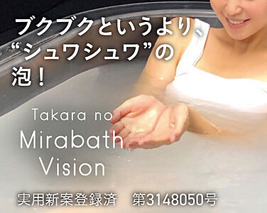 たからのミラバスビジョン