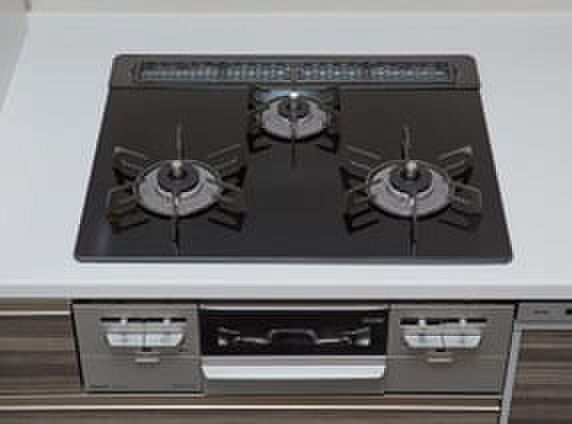 レーベン東川口 FULISTIA・レーベン東川口 BRITIA 設備