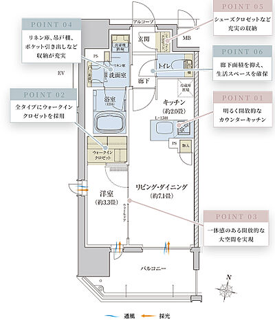 タイプ:A