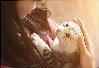 ルジェンテ田園調布南 ペットOK