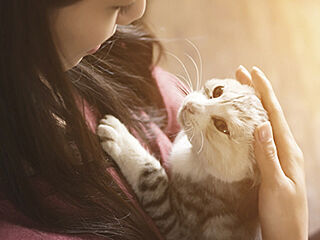 ルジェンテ浦和 ペット飼育可・足洗い場