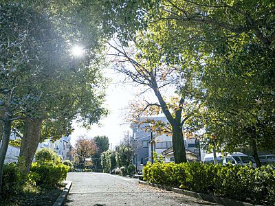 玉川上水旧水路緑道 西原緑道 約150m（徒歩2分）