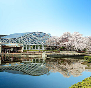 京都府立植物園 ※提供写真 約710m(徒歩9分)