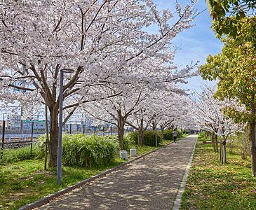 明和池公園 約940m(徒歩12分)
