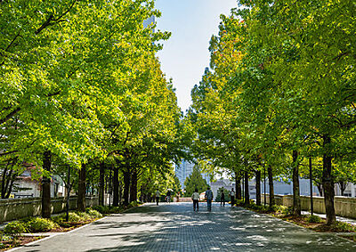 グランモール公園 約550m(徒歩7分)