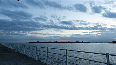 ふなばし三番瀬海浜公園 約5.6km