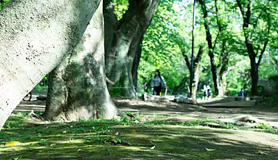 駒場公園 約2,050m