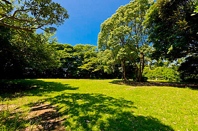 新林公園 約1,681m(徒歩22分)