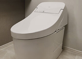 クレストフォルム横浜踊場 ローシルエットトイレ
