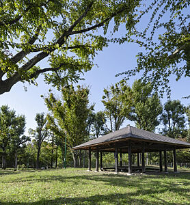 平和の森公園 約1,430m(徒歩18分)