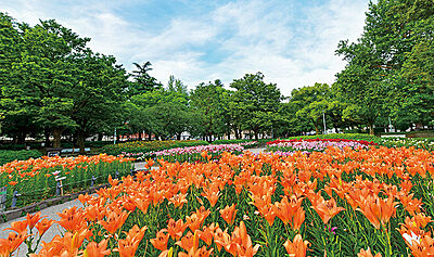 千種公園 約1,000m(徒歩13分)