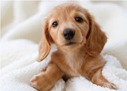 サンクレイドル千葉II 設備