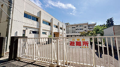 相模中学校 約660m(徒歩9分)