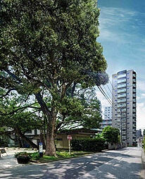 サンクレイドル葛西ステーションウィズ その他