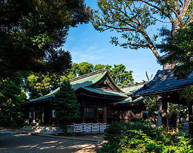 大井鹿嶋神社 約540m(徒歩7分)