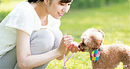 レ・ジェイド南港 設備