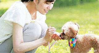 レ・ジェイド南港 ペット飼育可能マンション