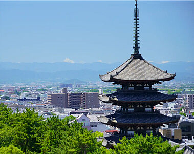 興福寺 約540m（徒歩7分）