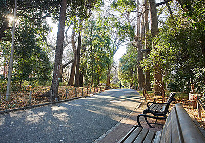 都立 林試の森公園 約740m(徒歩10分)