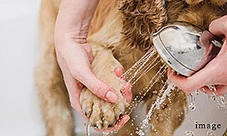 ローレルアイ大和八木 ペット足洗い場