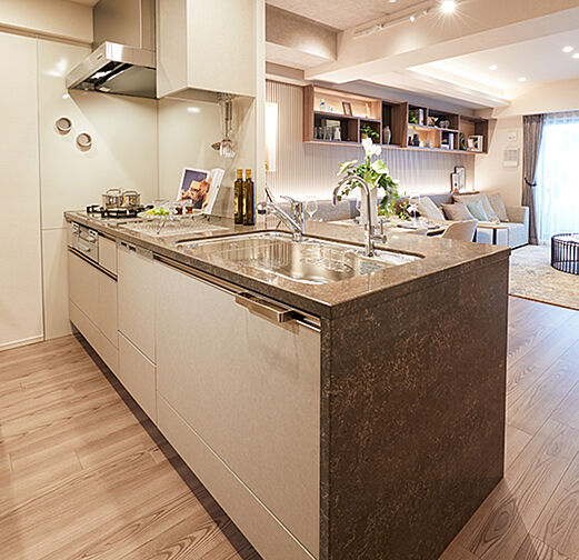 ローレルコート橿原神宮前イーストレジデンス 専有部