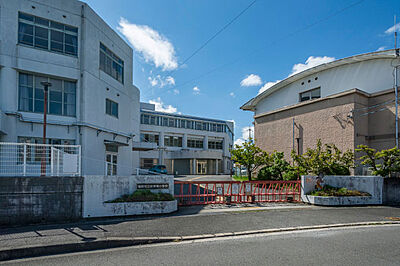 橿原市立 畝傍南小学校 約720m（徒歩9分）