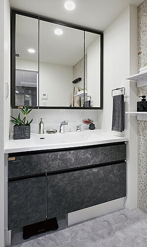 アルファステイツ高崎神社前 パウダールーム