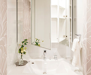 アルファスマート宇多津 三面鏡裏収納