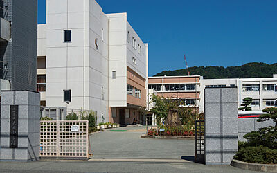 市立池田小学校 約510m(徒歩7分)