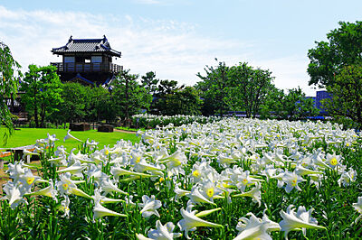 池田城跡公園 約750m(徒歩10分)