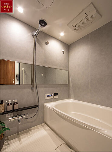 エクセレントシティ川越連雀町 専有部