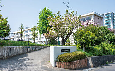 永山小学校 約240m(徒歩3分)