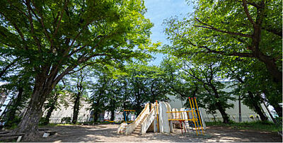 新開公園 約420m（徒歩6分）
