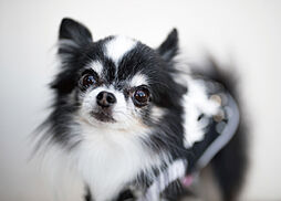 プラネスーペリア古淵 設備