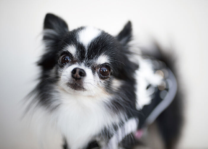 プラネスーペリア古淵 設備